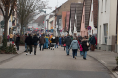 26-Fasnachtszug_004