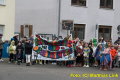 26-Fasnachtszug_012