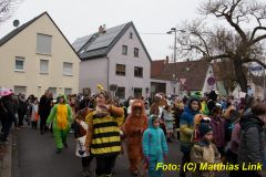 26-Fasnachtszug_017
