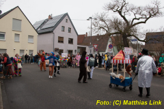 26-Fasnachtszug_019