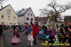 26-Fasnachtszug_028