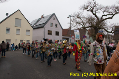 26-Fasnachtszug_038