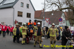 26-Fasnachtszug_049