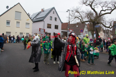 26-Fasnachtszug_077