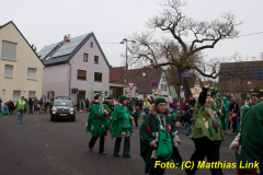 26-Fasnachtszug_129