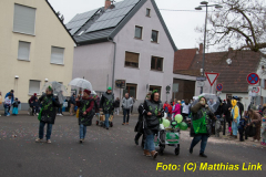 26-Fasnachtszug_184