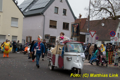 26-Fasnachtszug_239