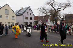 26-Fasnachtszug_243