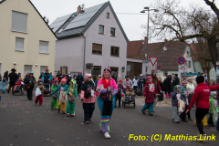 26-Fasnachtszug_314