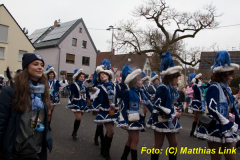26-Fasnachtszug_343