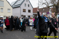 26-Fasnachtszug_348