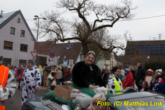 26-Fasnachtszug_354