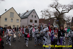 26-Fasnachtszug_357