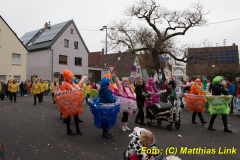 26-Fasnachtszug_362