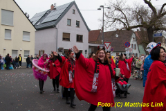 26-Fasnachtszug_393