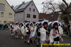 26-Fasnachtszug_403