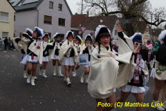 26-Fasnachtszug_408