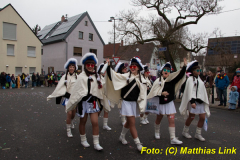 26-Fasnachtszug_410